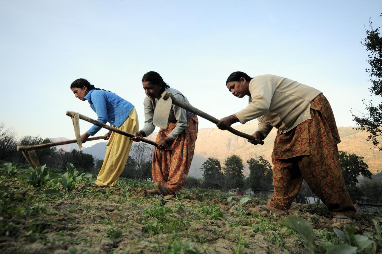 mahila kisan