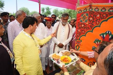 shri anny