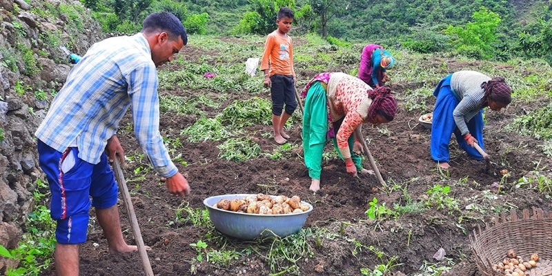 Uttarakhand Farmers