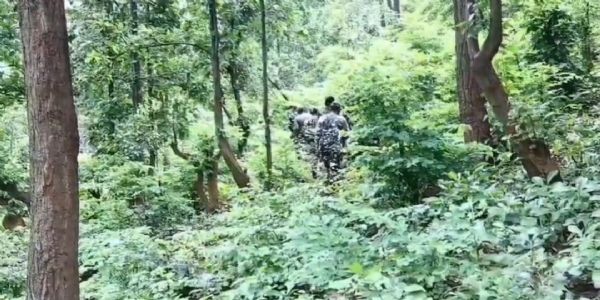 झारखंड के सारंडा जंगल में फिर मुठभेड़, एक महिला नक्सली ढेर,सर्च ऑपरेशन जारी