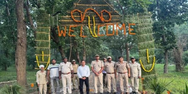 मप्र का बांधवगढ़ रिजर्व तीन माह के इंतजार के बाद खुला, पहले दिन बाघिन के दीदार से पर्यटकों में उत्साह
