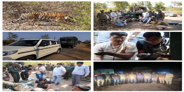 बांधवगढ़ की बाघिन दहाड़ेगी राजस्थान के मुकुंदरा हिल टाइगर रिज़र्व में