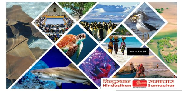 डिजिटल इंडिया के दौर में सरकारी वेबसाइटों से 'मूल हिन्दी' गायब, गृह मंत्री को लिखा पत्र