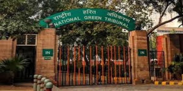 यमुना नदी में अवैध खनन मामले में पर्यावरणीय स्वीकृति एवं खनन पट्टा रद्द करने पर होगी जांचः एनजीटी