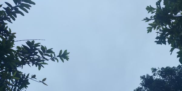 उत्तराखंड में बारिश से नदियां उफान पर, अलकनंदा खतरे के निशान से ऊपर