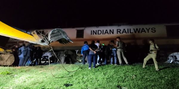 विश्व हाथी दिवस पर हादसा, तमिलनाडु-केरलम सीमा पर ट्रेन की चपेट में आए गज और शावक की मौत